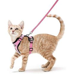 Mikasa Rabbitgoo Kattesele og snor til at gå, Escape Proof Soft Justerbare Vest Seler til katte, Nem Kontrol Pink Small