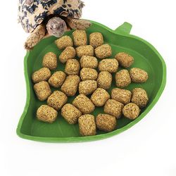 Blade Formet Plastic Krybdyr Parabol Padder Feeding Basin Water Food Bowl Gecko Worm Feeder Pet Supplies S