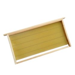 Ruili Apis Mellifera Apis Cerena Nest Frame Comb Foundation