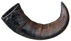 Trixie purutabletti buffalo horn (koirat, kohtelee, luut) 80 GR