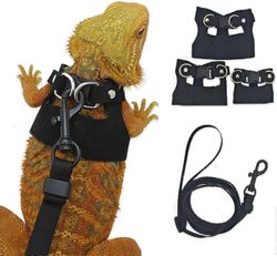 Parrakas lohikäärmevaljaat ja talutushihnasarja ulkovaljaat oraville hamstereille