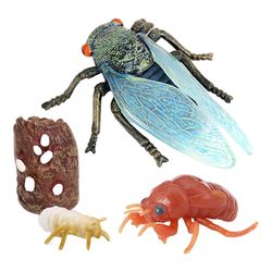 Parti af 4 natur Cicada Vækstcyklus Børneuddannelse Læring Undervisning Legetøjrealistisk