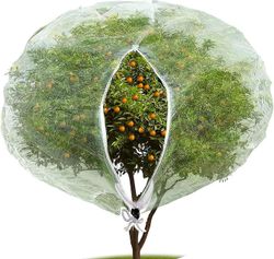 Hyönteisten lintuesteiden verkkoverkko vetoketjulla, puutarhavirheiden verkkokasvin kansi kasvien hedelmien suojaamiseksi Kukka hyönteisten lintuje...