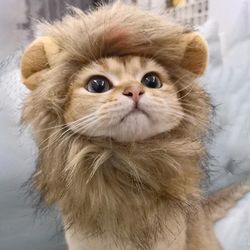 Zk- Pet Paryk Sød Lion Mane Kat Lille Hund Lion Mane Kostume Hundehat Fancy Dress Up Cosplay Legetøj Kæledyr Tilbehør S