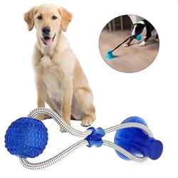 Pet Toys Hund Interactive Suction Cup Hund Push Legetøj Pet Kindar Bite Tand Rengøring Sikker Elasticitet Gummi Chew Ball Treat Puppy Legetøj