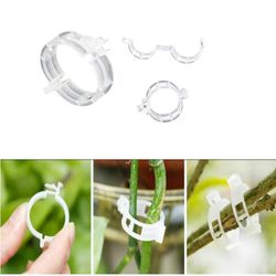 Stödjande Klämmor för Växter - 100 pack Transparent