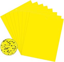 Klebrig fluepapir, 20-pakning Yellow 20x10 cm
