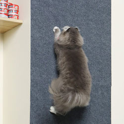 Klorebrett for katt S