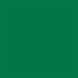 Garcia de Pou 700 unità tovaglioli 60 GSM in scatola, 40 x 40 cm, carta, Jaguar, 30 x 30 x 30 cm, verde