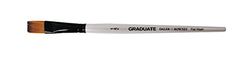 Daler Rowney - 212155050 - Kit De Loisirs Créatifs - Pinceau Plat Graduate pour Effet Badigeon - Taille 1/2