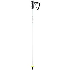 HEAD Worldcup Rebels Carbon Bâtons de Ski Adulte Unisexe, Noir/Blanc, 105
