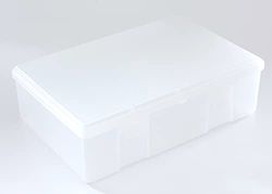 ANPLAST Pojemnik maxi box 2,5l przezroczysty