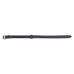 JACK AND VANILLA, Grote hondenhalsband, model Black Label, kleur: blauw, afmetingen 10 mm x 25 cm