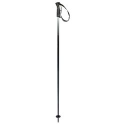 HEAD Frontside Black Grey Bâtons de Ski Unisexe, Noir/Gris, 135