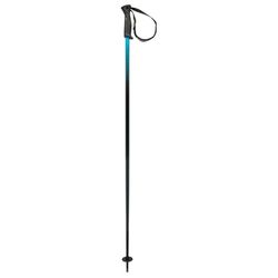 HEAD Frontside Black Blu Bâtons de Ski Unisexe, Speed Blue, 110