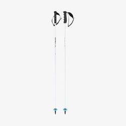 HEAD Worldcup Rebels Carbon Bâtons de Ski Unisexe, 135