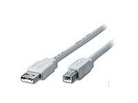 EQUIP 128651 Cable USB 3 M 2.0 USB A USB B Plata, Transparente