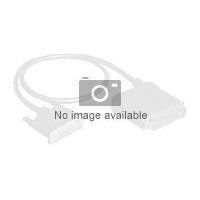 HP - SCSI internal to external cable - HD-68 (F)