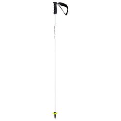 HEAD Unisex vuxen Worldcup Rebels Carbon skidstav, vit, 140