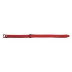 Jack and Vanilla – Collar para Perros con Etiqueta Negra – para Perros pequeños, medianos y Grandes – Ajustable, sólido, Cierre eficaz, Color Rojo, Talla 30 mm x 75 cm
