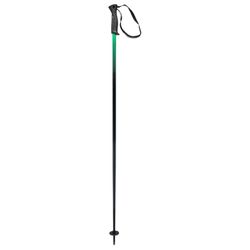HEAD Unisex Adult Frontside Black Green Skistokken, zwart/groen, 105