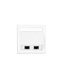 Vivolink – Wall Connection Box 2 x RJ45-aanbieding, wi231283 (2 x rj45 Patch kan zowel buiten als binnen Thorsman)