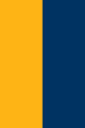 Gold & Navy Blue NOTEBOOK - 6x9 inches Ruled Line with 120 Pages