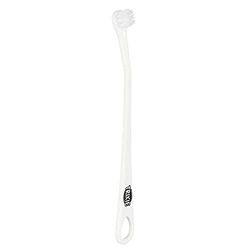 TRIXIE Set di 4 spazzolini da denti per gatto/cane piccolo