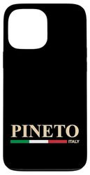 Pineto Italy Case for iPhone 13 Pro Max