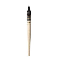 DR Pointed Wash Af24-6, E282024006, Kwasten