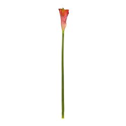 EUROCINSA Ref.57892C25 Cala Lily Rosa-Fucsia, Caja de 12uds, 80cm