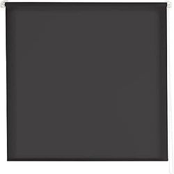 Estoralis Gove | Estor Enrollable Diseño Moderno | Sin Taladrar Translúcido Liso | Color Antracita | 100 x 180 cm (Ancho/Alto) Tamaño Tela 97 x 175 cm | Estores para Ventanas y Puertas