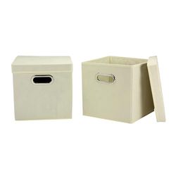 Household Essentials 39-1 - Set di scatole Decorative cubiche con coperchi Rimovibili, Confezione da 2, Color Naturale
