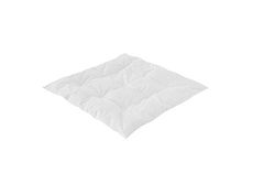 Träumeland T060562 babyfilt/sängfilt 'Dunlätt' – året runt filt med 100% dunfyllning, Downpass-certifierad, 80 x 80 cm, vit