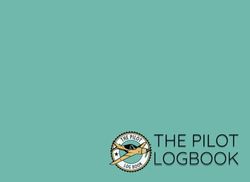 The Pilot Logbook: Pilot Flight Log for Pilot Students, Pilots in Training, Professional Pilots, Aviation and Jeppesen Pilot