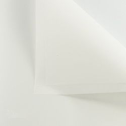 Papel de regalo de flores de estilo coreano, ramo floral, suministros de embalaje de regalo, varios colores, 20 unidades (blanco)