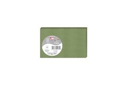 Clairefontaine 1470C, verpakking met 25 afzonderlijke kaarten, formaat 8,2 x 12,8 cm, 210 g/m², kleur: saliegroen, uitnodigingskaarten voor evenementen en correspondentie, Pollen-serie, premium glad