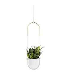 Umbra Bolo blomampel, keramik, metall, vit,