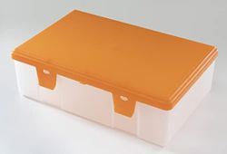 Maxi-Box da 2,5 litri trasparente con coperchio arancione traslucido