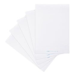 Landré Flipchart-papier, blanco, met 20 vellen per blok, 6 gaten, 5 stuks