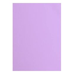 Florence Vaessen Creative Textured Cardstock, Pink Hyacinth, 216 Grams, A4, 10 Sheets, for Scrapbooking, Card Making, Die Cutting and Other Paper Crafts, Purple