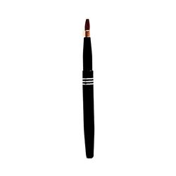 Aurore Beauté : Retractable Lip Brush Black Metal Case