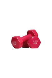 Active Panther Dumbbell set 2 X 3 KG - 6 kg totaal - Vinyl - Roze