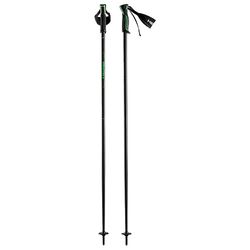 HEAD Frontside, Bastones de Esquí para Unisex adulto, Negro/Verde, 110