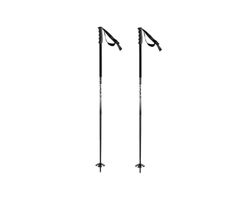 HEAD Unisexe - Adulte KORE Black White Bâton de Ski Noir/Blanc 110
