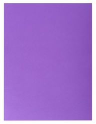Exacompta - Réf. 415007E - Carton de 250 chemises double poche ROCK''S 210 g/m² - couleurs vives - chemises certifiées PEFC™ - dimensions 24 x 32 cm pour documents format A4 - violine