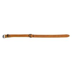 Jack and Vanilla - Collier pour Chien Black Label - pour Chiens de Petite, Moyenne et Grande Tailles - Ajustable, Solide, Fermeture Efficace - Couleur Cognac, Taille 30 mm x 60 cm