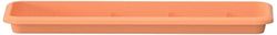 Prosper Plast ipu400-r624 36.9 x 15.5 x 2.5 cm Universale Supporto – Terracotta (Pezzi)