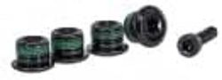 Sram Kettingbladschroeven-228700554s schroef bord, zwart, eenheidsmaat