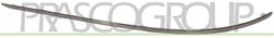 PRASCO ME0291273 Trim Protective Strip